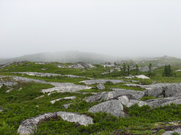 The Mists of My Avalon