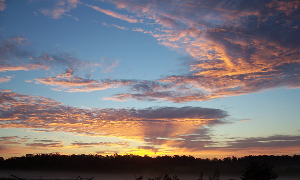 Rise and Shine!