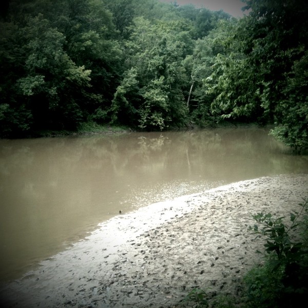 The Lost World