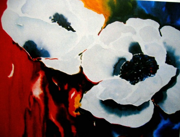 two white poppies