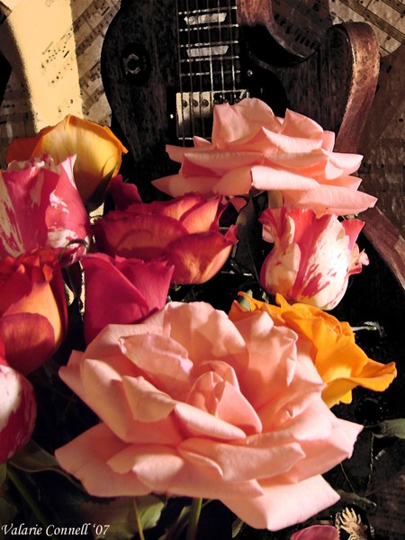 Roses