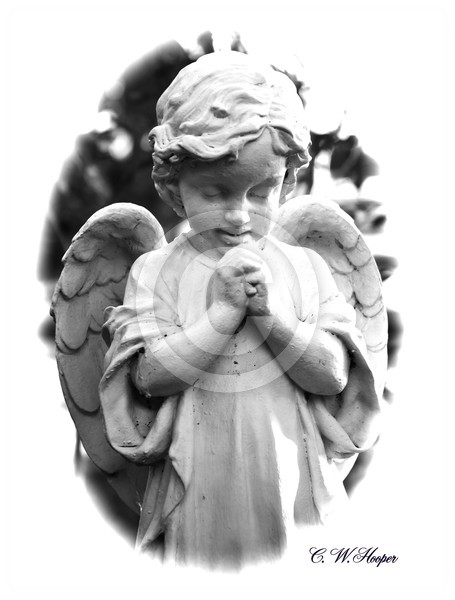 Little Angel
