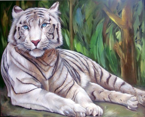 Tigre branco