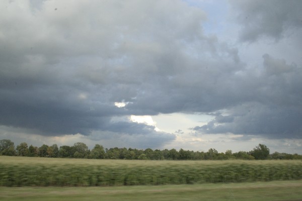 Speed