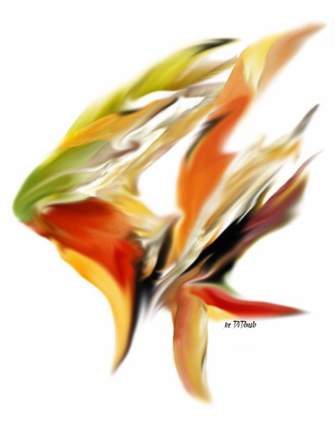 AngelFish