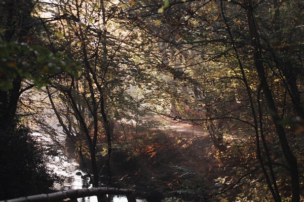 Autum Time
