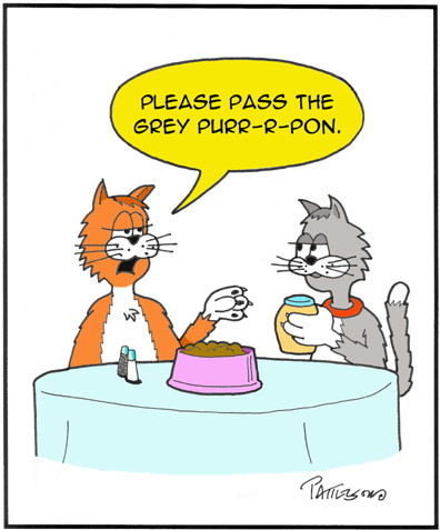Grey Purr-pon