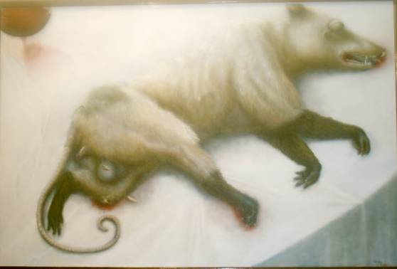 Road kill