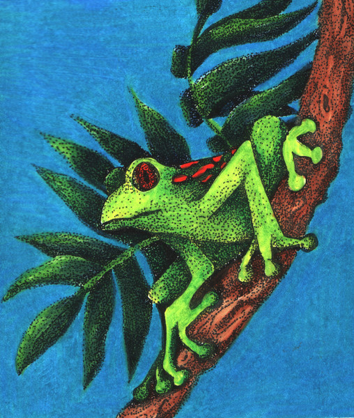 Frog 1