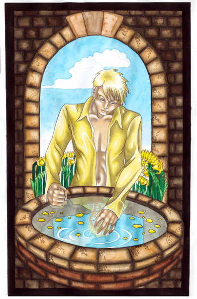 Narcissus