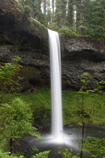 Summer at Silver Falls
