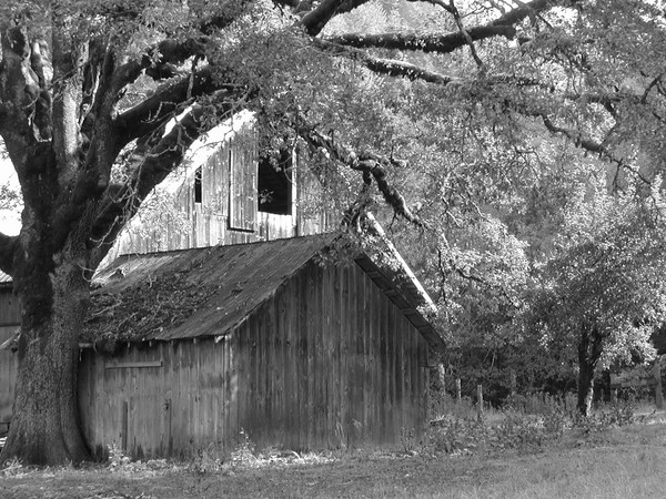 Black and White Barn