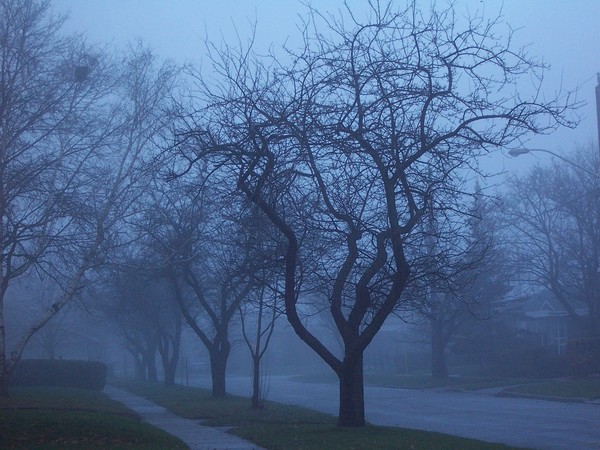 Blue Evening
