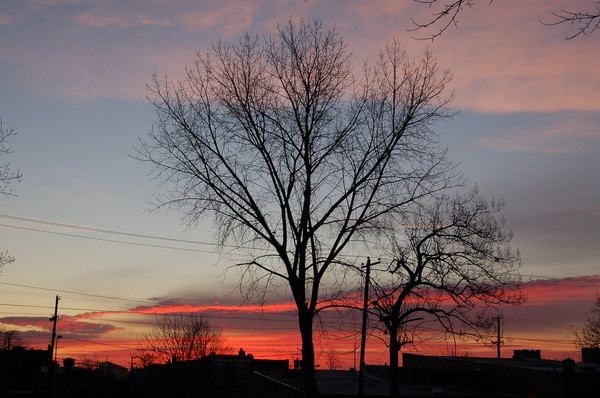 Philadelphia Sunrise