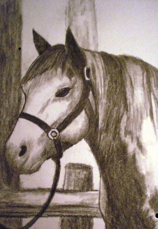 the hitching post 2