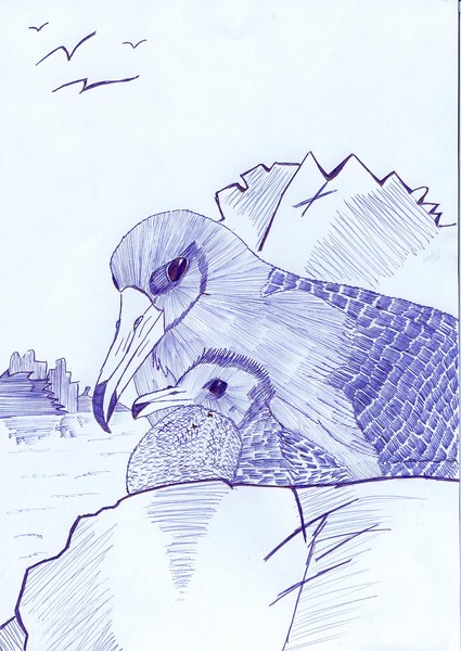 staring at the sea 2