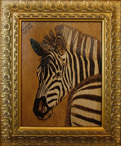 Zebra
