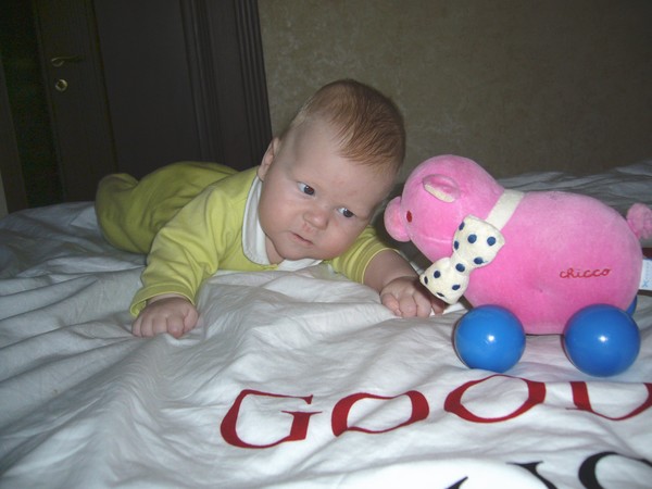 Pink Pig