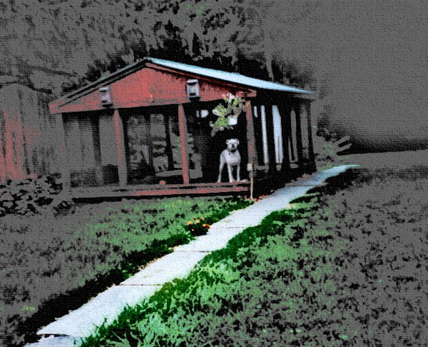 Man's Best Neighbor