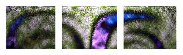 AB101