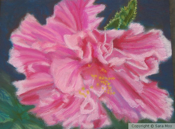 Pink Flower