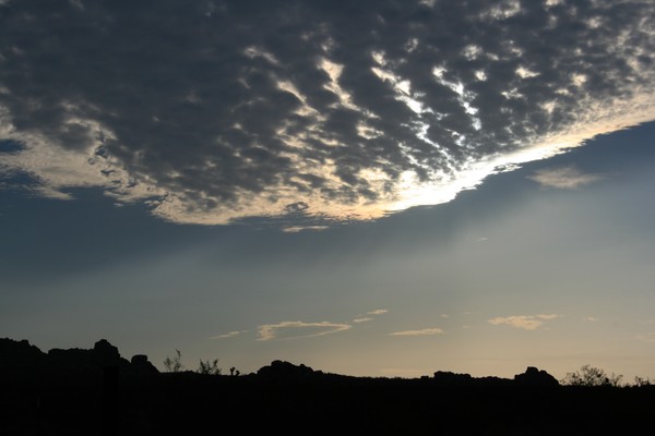 Light on The Horizon  (set #2 up close)
