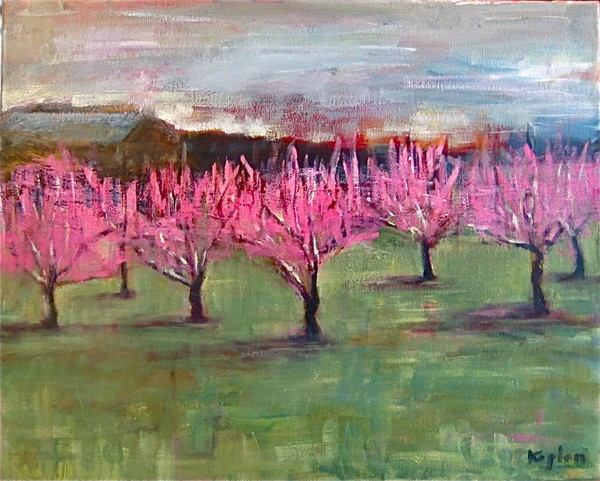 Orchard, Hector, NY