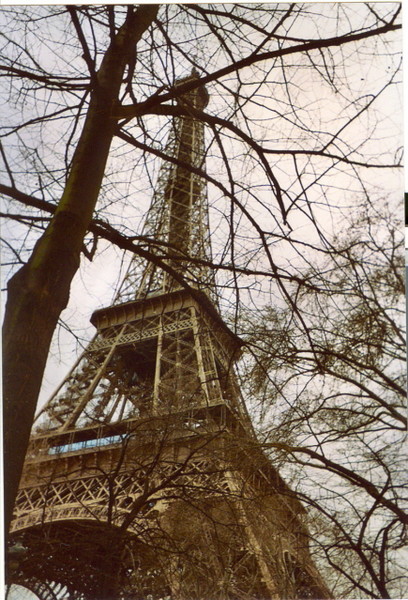 In the park