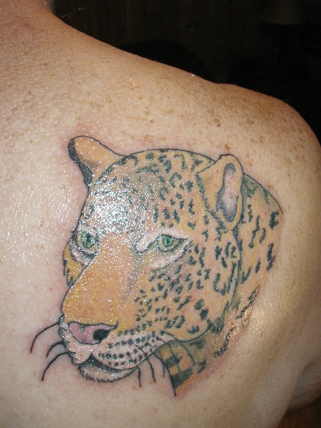 leopard
