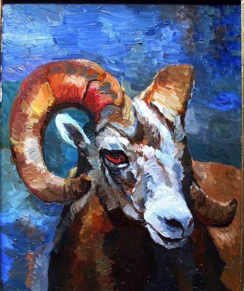 Wild Goat