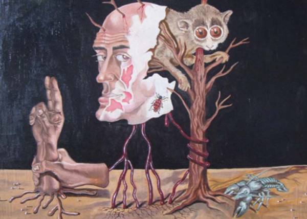 Disagreement of Primates