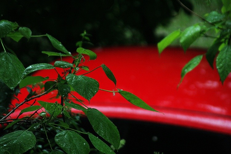 matching red and green