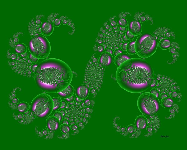 Colony