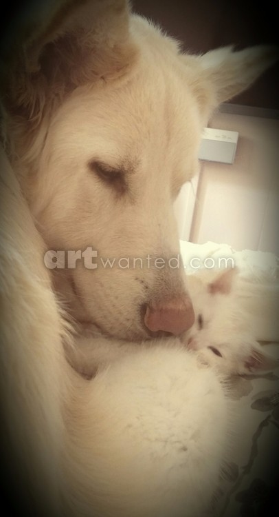 grace meets innocence