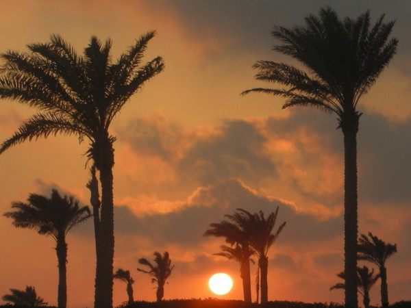 THE SUNSET