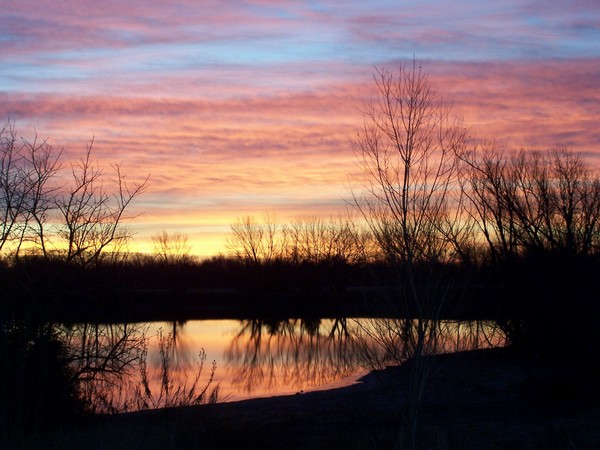 pond in the morning