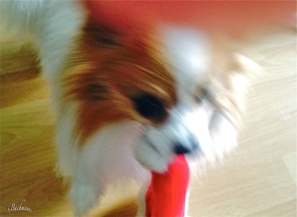  Oliver motion !