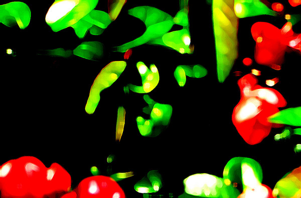garden #2