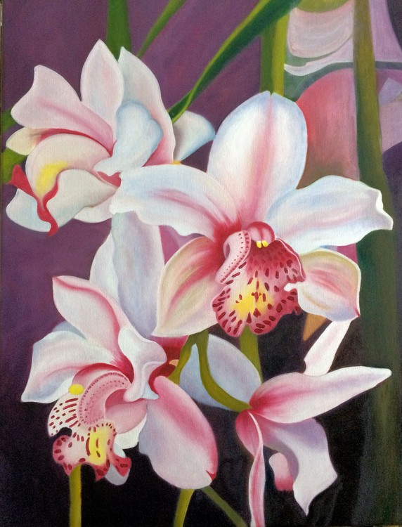 Orchids 2017