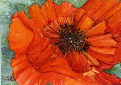 Vickie's Poppy