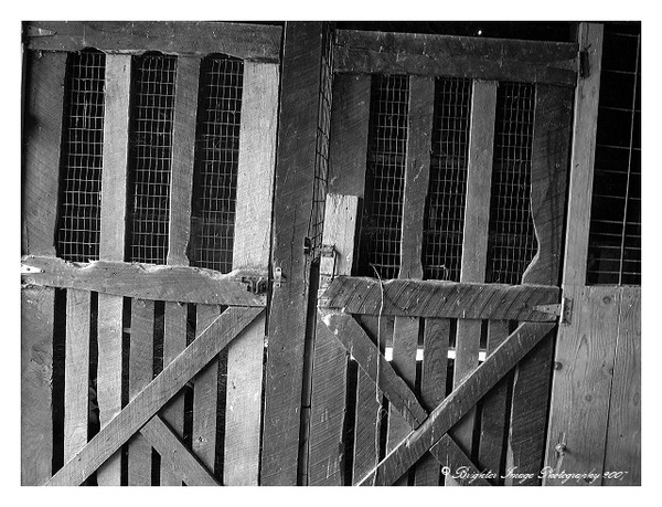 Old Barn Doors