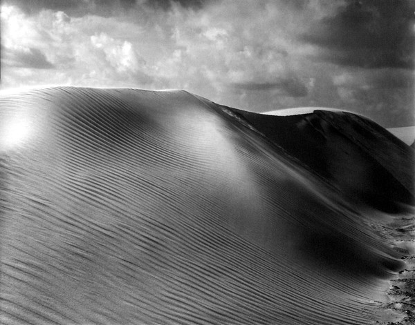 Summer Silk - Dunes, S. Padre