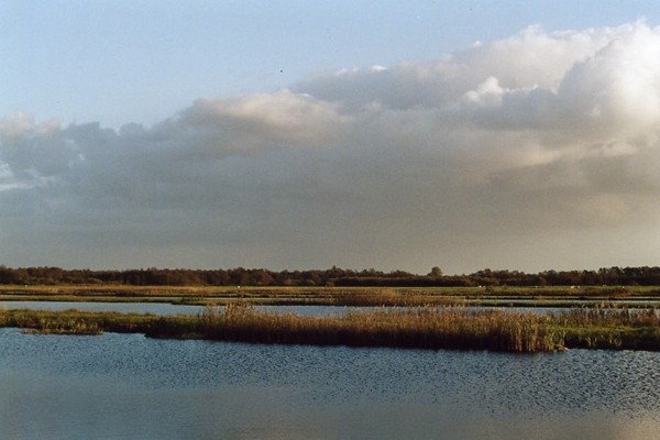 Autumn Polderlandscape 1