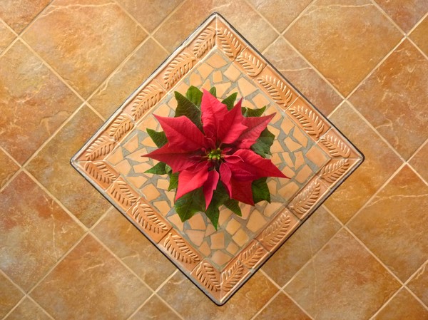 Framing Christmas Cheer
