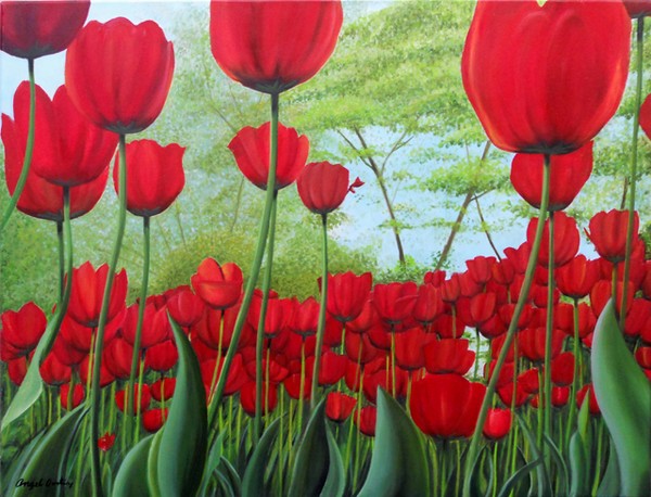 Tulipanes