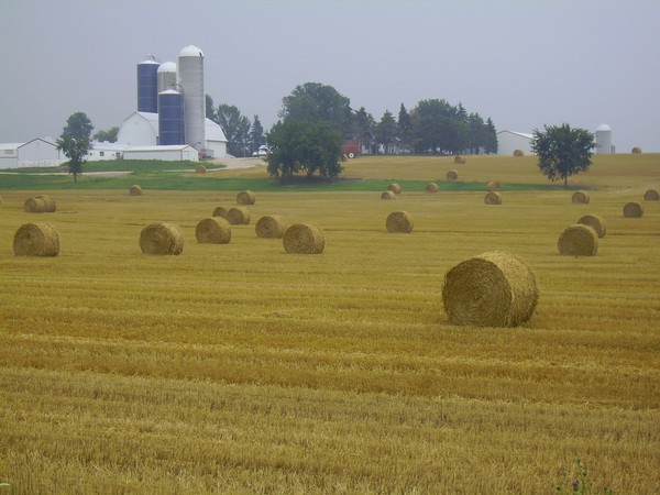 a day on the farm