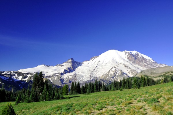 Mt Rainier