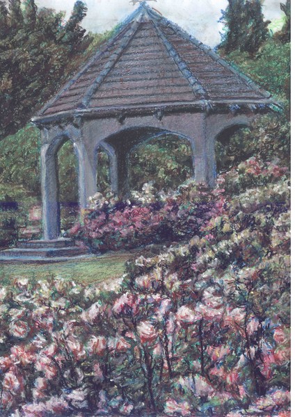 rose garden