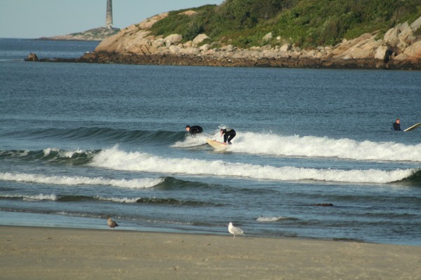 Surfing 2