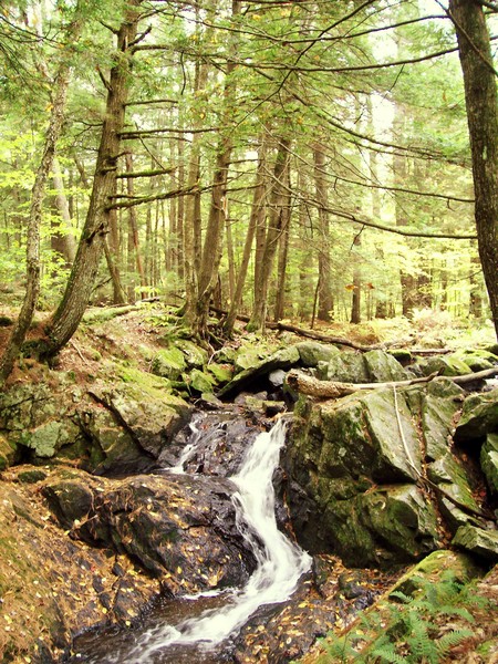 winding waters
